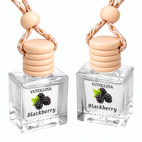 2Pack Car Air Freshener, Vanilla Essential Oil Diffuser, Hanging Car Odor Eliminator Long-Lasting Fragrance - Blackberry