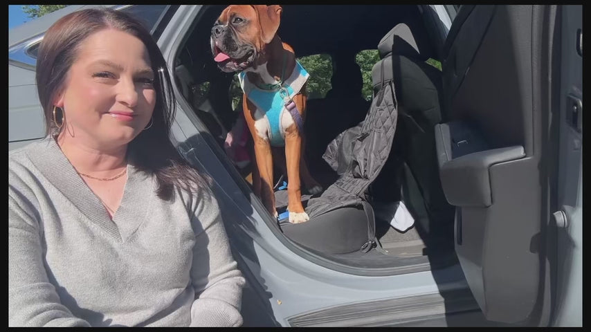 Victoper Dog Car Seat Cover 600D Waterproof Hammock