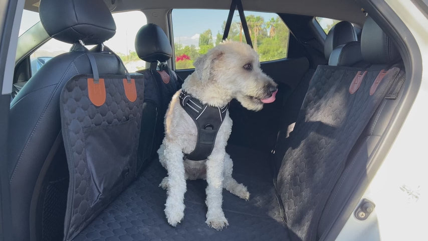 Pawccoli Back Seat Extender for Dogs Waterproof 600D Oxford